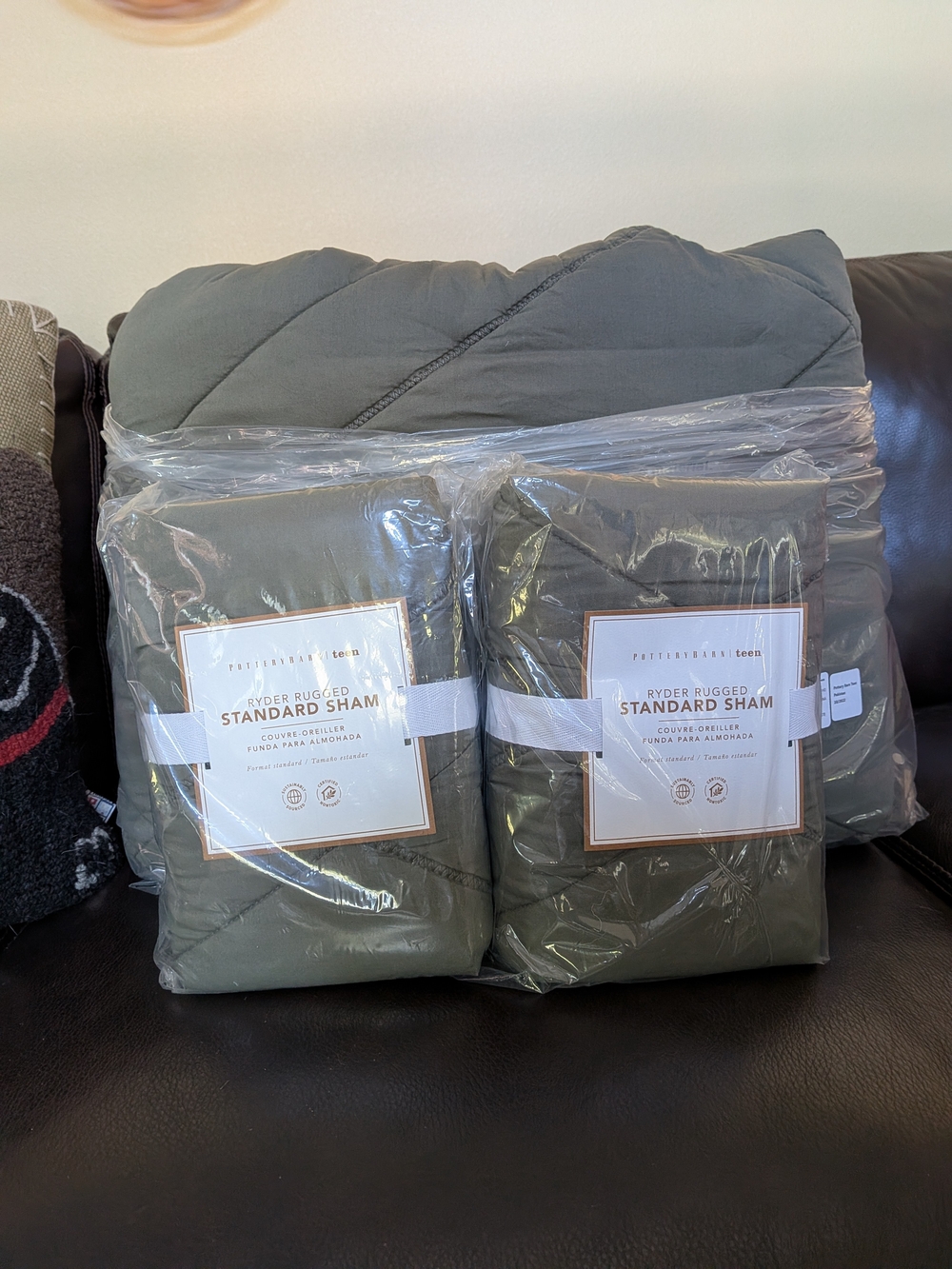 Pottery Barn Teen Ryder Rugged Standard Sham Set - Olive